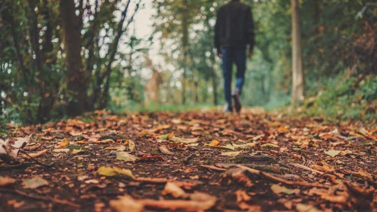 Die perfekte Herbstgarderobe: Trends und Must-haves für Männer